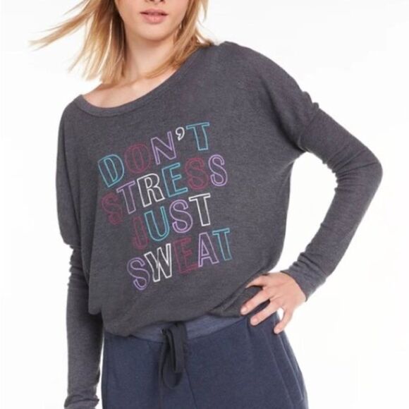 Wildfox Gray Long Sleeve Graphic tee Women Size Small - Picture 1 of 9